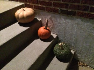 Here's my front porch tableau.